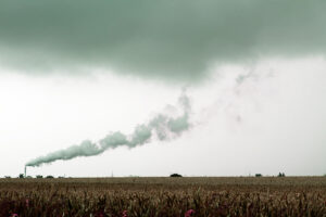 Depositphotos_20996973_original