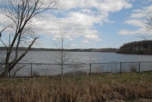 freshpond2007